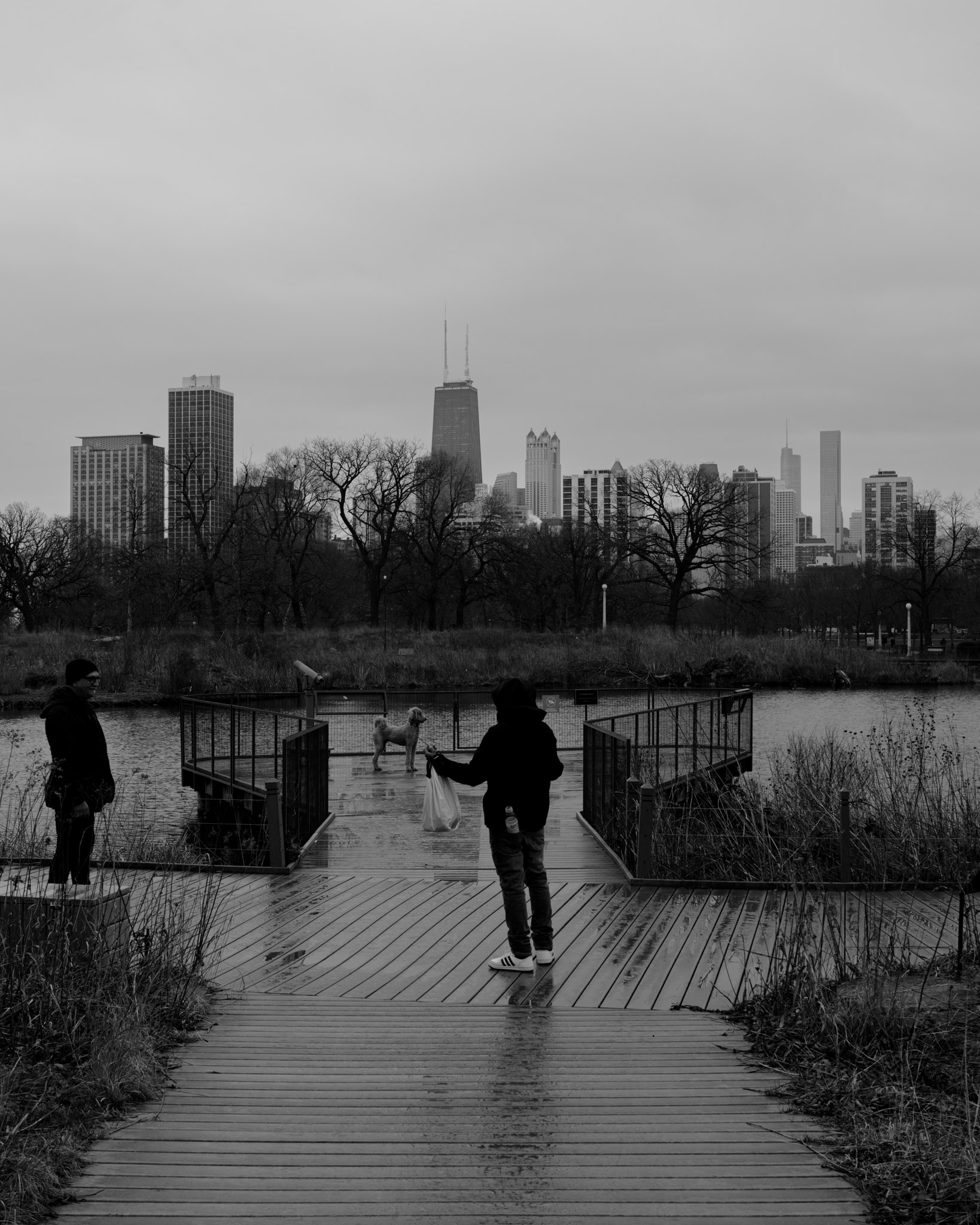 man petting dog at montrose beach pier